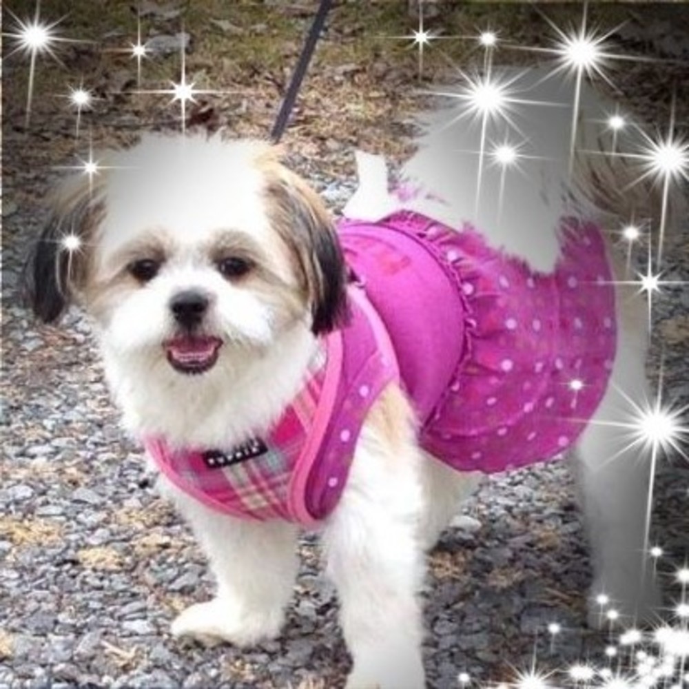 Meet your Posher, Maryann